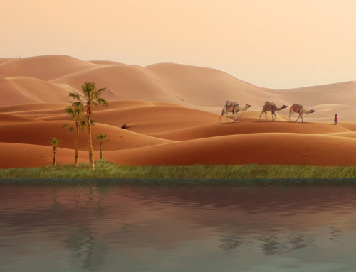 Mi a te tanulságos történeted?